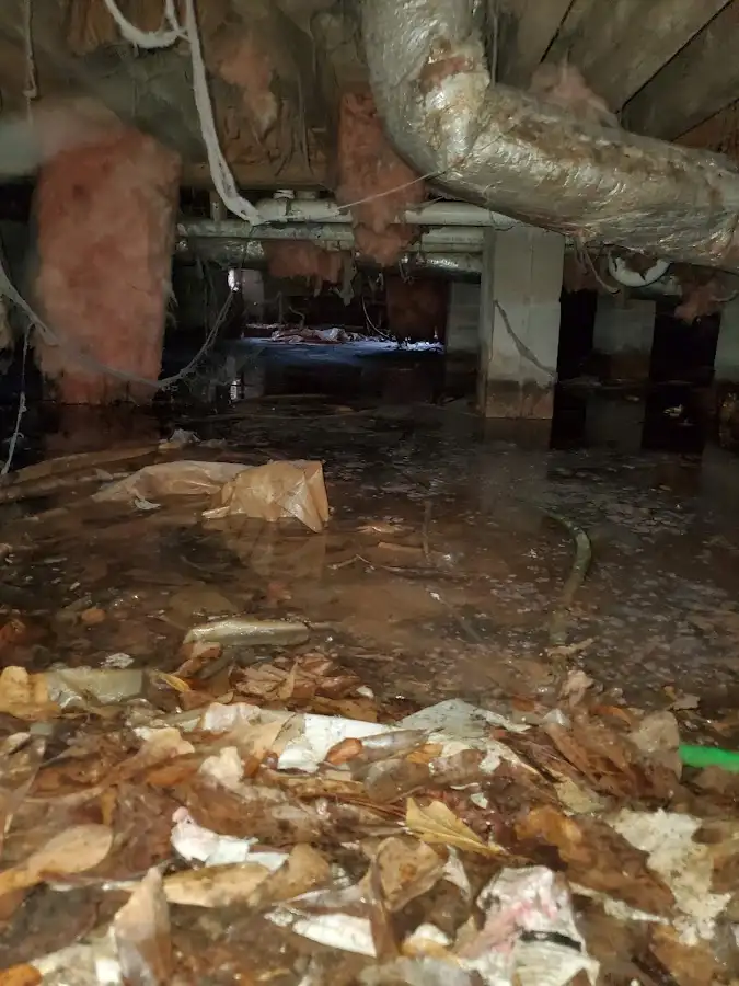Crawl space flood assessment for Leak Detection & Repair in Newtown